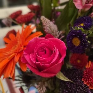 Meet your Posher, Koyla